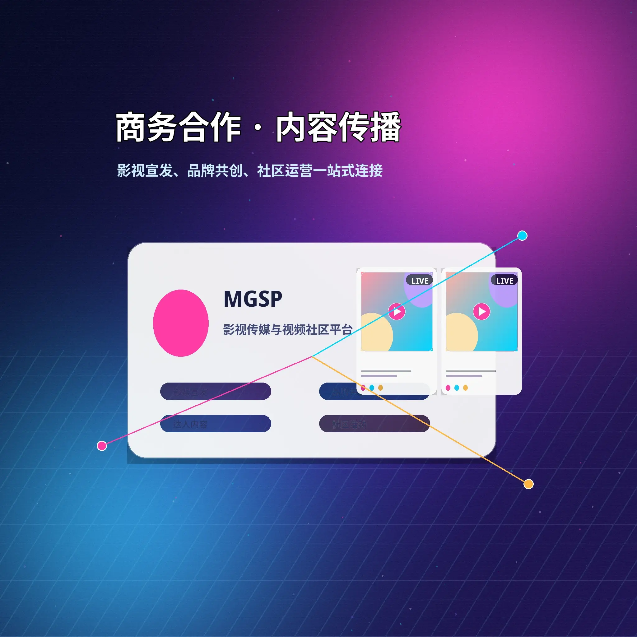 蘑菇视频联系服务与用户反馈展示
